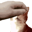 emoji_395