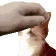 MowgiliePat MowgiliePat
