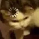 catloading