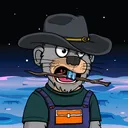 beaver11