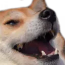 KekW