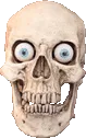 androidskull