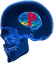 PS4head