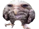 baro