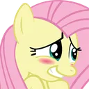 flutterBlush