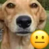 notfunny notfunny