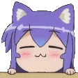 KittyPeek