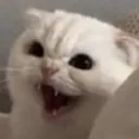 angwy angwy