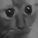 KatzeDoom KatzeDoom