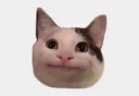 CAT Discord Emoji