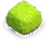bush