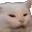 sf_cat_wtf sf_cat_wtf