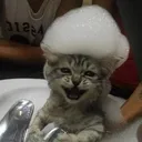 Catsmile Catsmile Discord Emoji