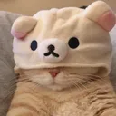 Cathat2 Discord Emoji