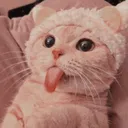 Cattongue cattongue Discord Emoji