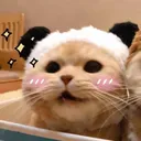 Catuwu catuwu Discord Emoji