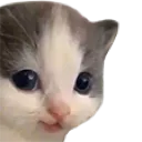 AvaSmirk