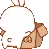 a_bunny_box_cute_hide_kawaii