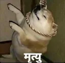 MRITYU MRITYU