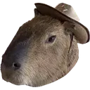 Cowboybara