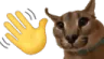 floppawave