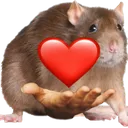 heartrat