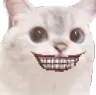 weirdcatsmile
