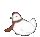 cock cock