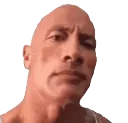 arockeyebrow