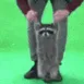 kr4_jumpies