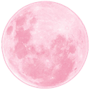 F_pinkmoon Discord emoji