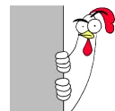 What_Chicken