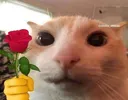 RT_flor