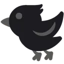 crow