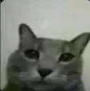 ca1