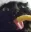 catnoodle