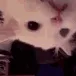 CatEvilU