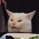 Memer Cat Discord Emoji