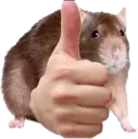 RatApprove