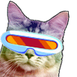 meow_bop