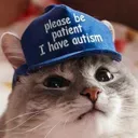 cat_Autismcat cat_Autismcat