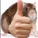 ratofds ratofds