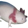 motherfucker2 motherfucker2