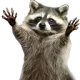 kr1_yay