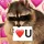 Raccoon_Love