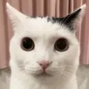 him