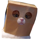 3bagcat Discord emoji