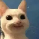 peen
