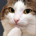 catthink custom emote from Jewish Community