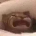 cry
